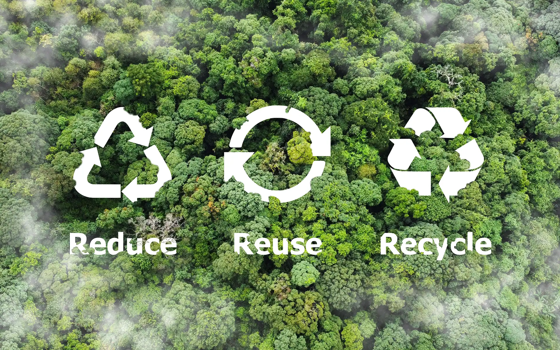 Green Responsibility